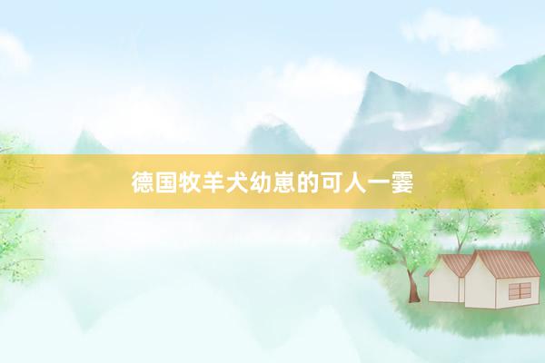 德国牧羊犬幼崽的可人一霎